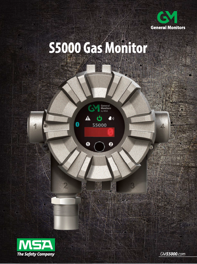 Original Image: General Monitors S5000 Gas Monitor